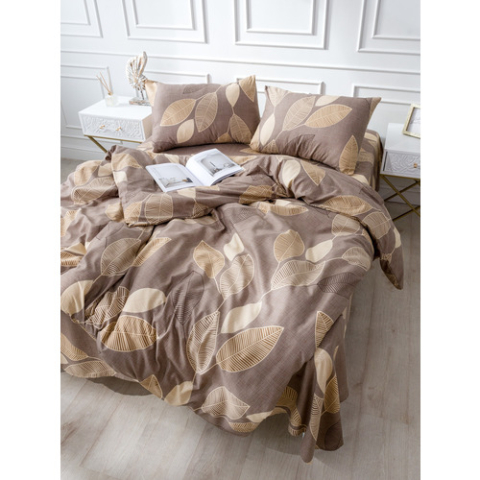 Постельное белье 12984-06 2-х сп с евро простыней с наволочками 50/70